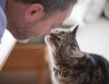 Man and cat touching noses