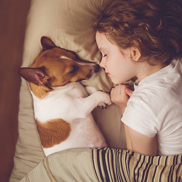 Sweet curly girl and jack russell dog is sleeping in night. Sweet curly girl and jack russell dog is sleeping in night.