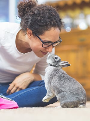Rabbit and Pocket Pet Care in Branson, MO