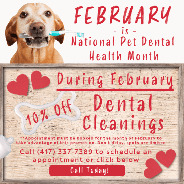 SOTH February Pet Dental Promo-2 (1)